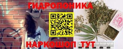 мяу мяу мука Новодвинск