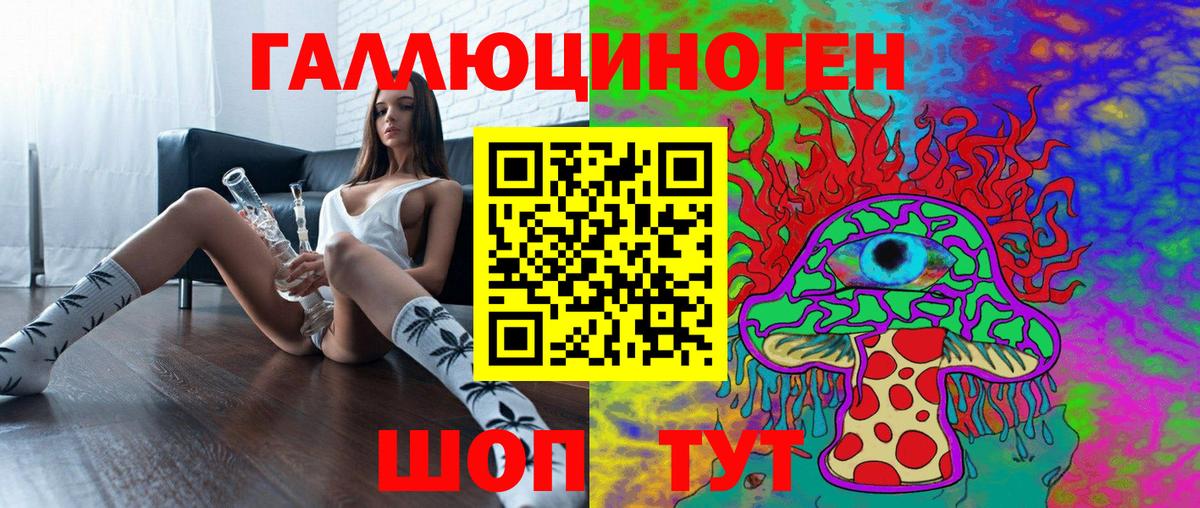 Галлюциногенные грибы Psilocybe Тверь